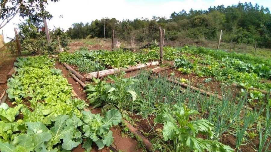 Processos ecológicos em agricultura sustentável - Parte 7